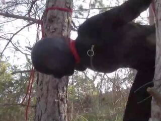 Tied up to a tree outdoor on tempting clothes&comma; wearing pantyhose and high ankle boots heels&comma; rough fuck